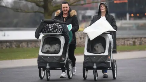 Getty Images Dogs in pet travel strollers arrive at the Birmingham National Exhibition Centre