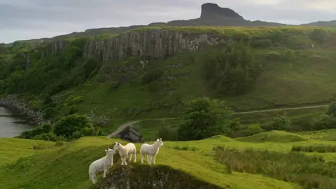 Getty Images Isle of Eigg