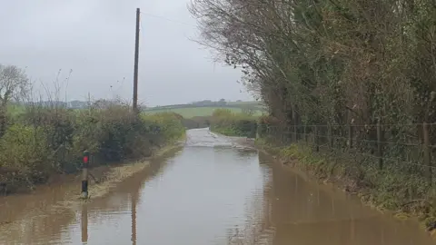 Mark Bobin A flooded rural lane