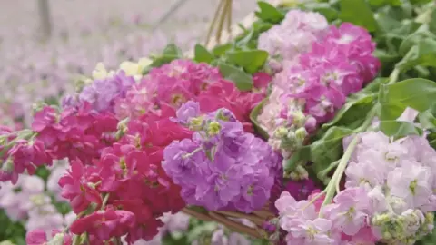 Bloom & Wild Cut flowers in basket