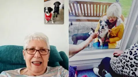 Wag Dogs and customers