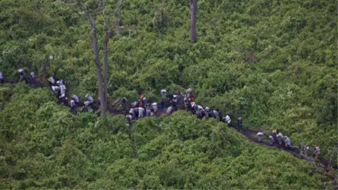 Getty Images Aerial views of people carrying illegal charcoal through Virunga National Park in rebel FDLR territory, February 11, 2008