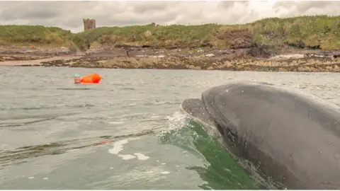 Nuala Moore Nuala Moore