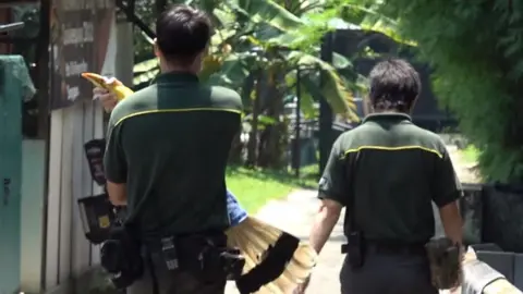 Wildlife Reserves Singapore Jary is returned to his bird park