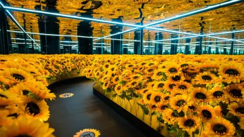 Richard Blake The Sunflower Selfie Room