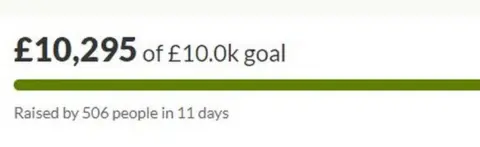 Go Fund Me Screen shot of donation website