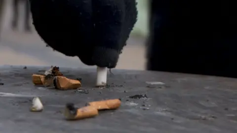 BBC Cigarette butt