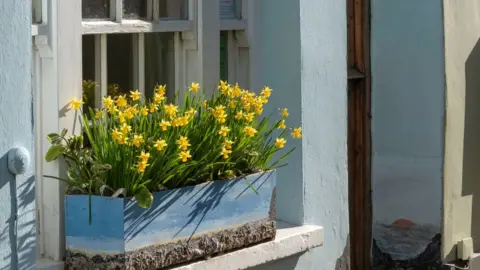 Getty Images Window box