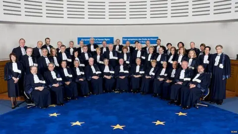 ECHR Judges on the European Court of Human Rights