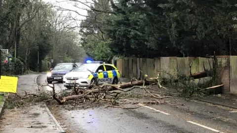 PA Media Police attending the scene of a fallen tree blocking Furze Platt Road, Maidenhead