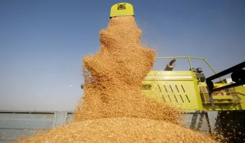 Reuters A combine deposits harvested wheat in a tractor trolley at a field on the outskirts of Ahmedabad, India, March 16, 2022.