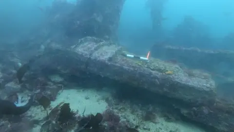 HES/PA Media the comet