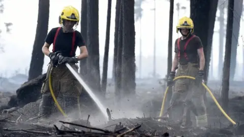 PA Media Firefighters in Wareham Forest