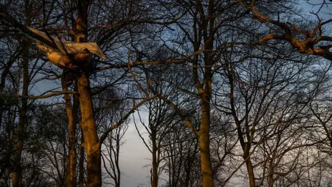 Chris J Ratcliffe Activists sleeping in a tree