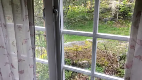 BBC View from cabin window