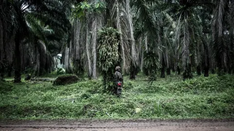 AFP A Tanzanian UN peacekeeper on patrol in the area of Beni, DR Congo - Tuesday 13 November 2018