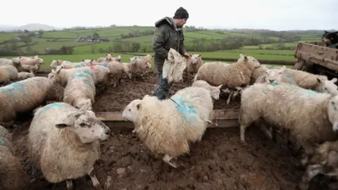 Chris Jackson/Getty Images Farm in Brecon Beacons