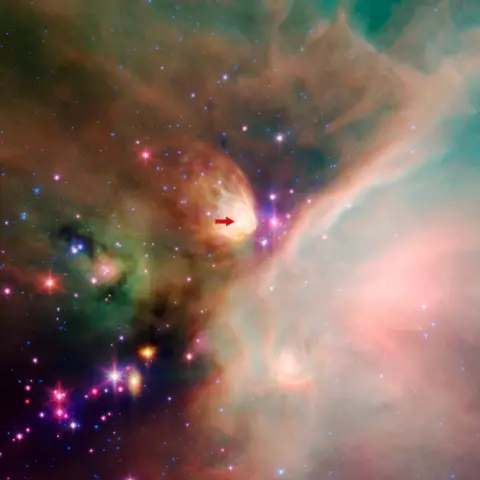 Spitzer Space Telescope Rho Ophiuchi