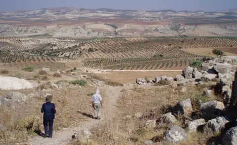 Diana Darke View towards olive groves in northern Afrin (file photo)