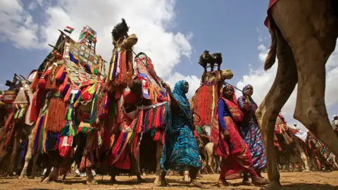 AFP/Getty Images Sudanese women walk by decorated camels on their way to receive President Omar al-Bashir as he visits the headquarters of the Rapid Support Forces, a paramilitary force backed by the Sudanese government to fight rebels and guard the Sudan-Libya border, in the town of Umm al-Qura, northwest of Nyala in South Darfur province