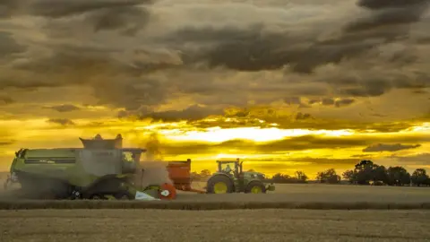 Ieuan Williams Harvest