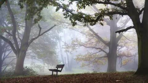 Getty Images An empty bench in the middle of Hampstead Heath on a frosty day