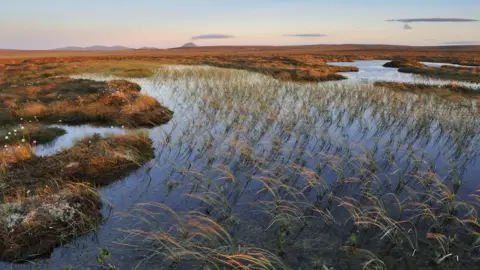 The Forsinard Flows, Caithness