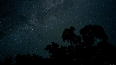 Google Pixel 4 photo