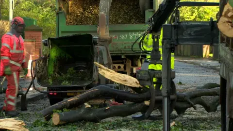 BBC A clean-up operation is under way to clear fallen trees