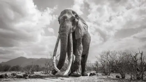 Will Burrard-Lucas  One of the last photos of F_MU1