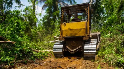 Jim Wickens/ Mighty Earth A bulldozer in the Cerrado