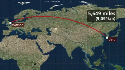 Map showing the distance between Watton, Norfolk, and Jeju, South Korea.