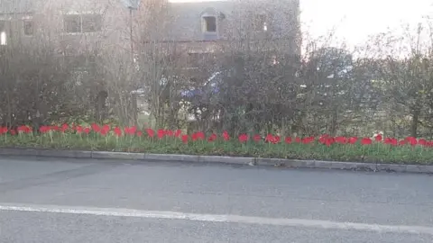 Heather Stafford Original poppy display