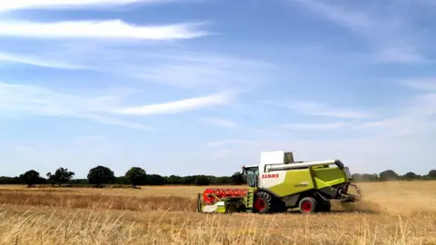 PA Farm in Ashford Kent in July