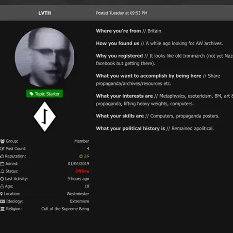 Screengrab Harry Vaughan profile page on neo-nazi social media site