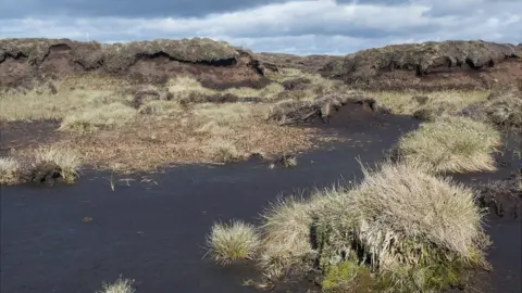 Getty Images Peat moor, Yorkshire