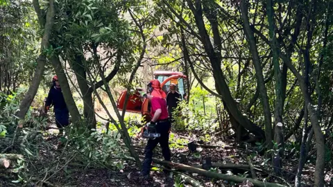 Workers with chainsaws