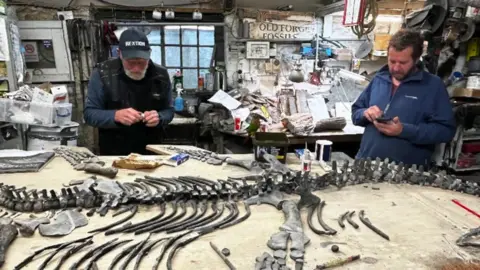 Charmouth Heritage Coast Centre assembling the plesiosaur