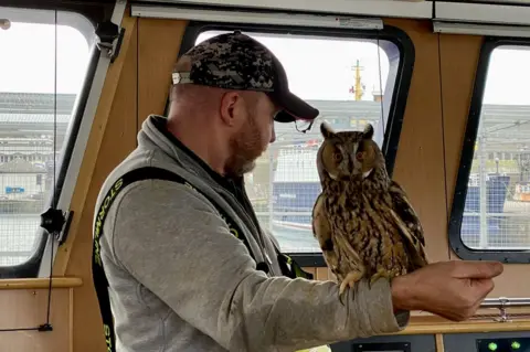 Benarkle II The owl got to know its new crewmates