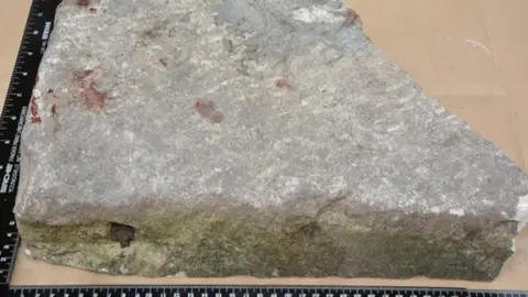 Sussex Police Stone slab used to kill rough sleeper Sergio Lemori