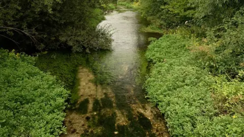 Tony Jolliffe BBC River Anton, Hampshire