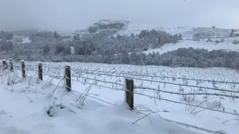 BBC Moy by Iain McInnes