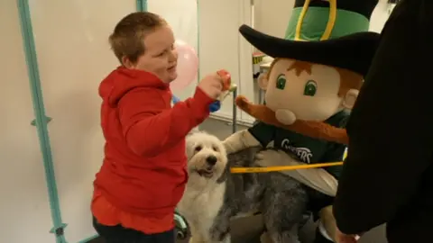 Therapy dog in Plymouth