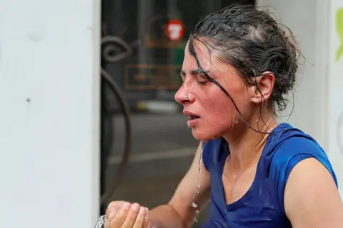 EPA Police use spray to against protester standing on an armoured car in Hamburg, 7 July