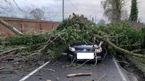 Thames Valley Police Fallen tree