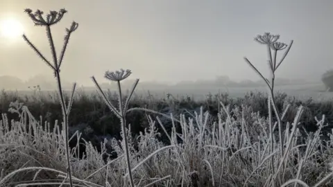 Simon Vernon-Harcourt Frost in Great Chesterford, Essex