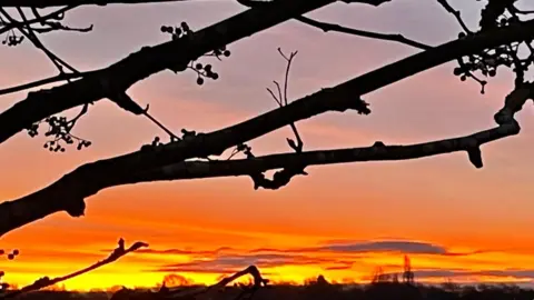 Weather Watchers/Kingfisher Whisperer Coventry