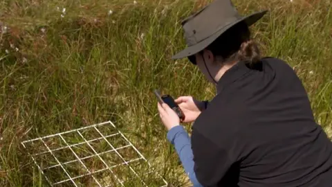 Woman using GPS technology at Thorne and Hatfield Moors