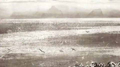 Norman Ackroyd A black and white print which features a coastal scene with large rocks on the horizon. There are loads of seagulls flying around and the sea looks calm.