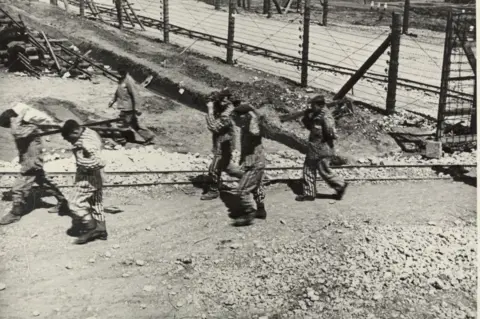 The Wiener Holocaust Library A historical black and white photograph showing several prisoners in striped uniforms carrying a heavy wooden log along a dirt path next to a barbed-wire fence.